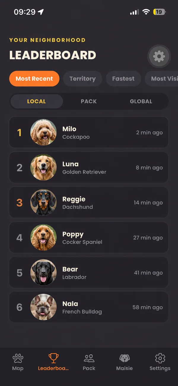 The Patch neighbourhood leaderboard, listing nearby dogs by most recent walk